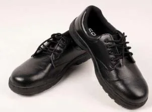 Giày bảo hộ SAMI SK202 (Giày có hộp)